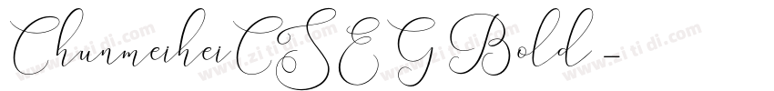 ChunmeiheiCSEG Bold 字体转换
